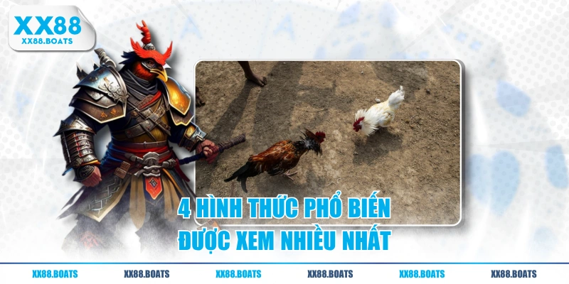 4 hình thức phổ biến được xem nhiều nhất