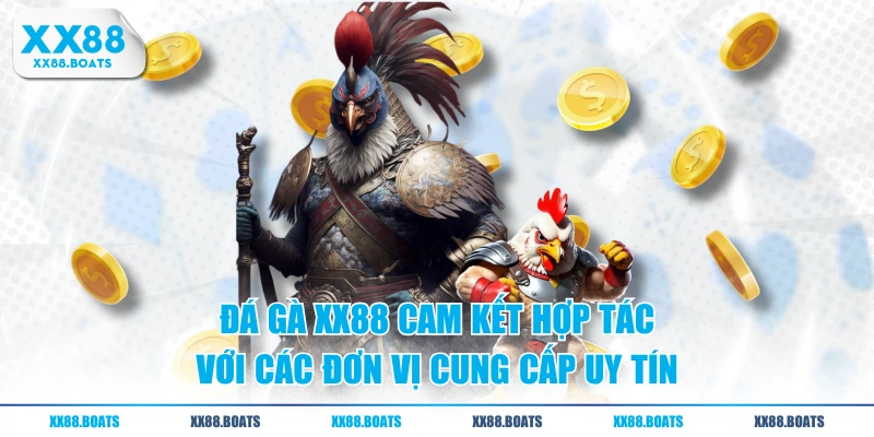 Đá gà XX88 cam kết hợp tác với các đơn vị cung cấp uy tín