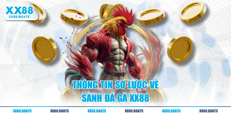 Thông tin sơ lược về sảnh đá gà XX88